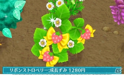 3DS「クマ・トモ」カワイイ植物を育てられるガーデニング＆クマと一緒に作れる料理を紹介の画像23