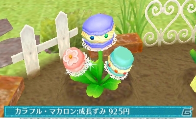 3DS「クマ・トモ」カワイイ植物を育てられるガーデニング＆クマと一緒に作れる料理を紹介の画像26