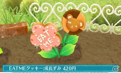 3DS「クマ・トモ」カワイイ植物を育てられるガーデニング＆クマと一緒に作れる料理を紹介の画像29