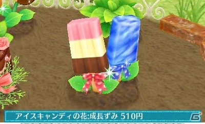 3DS「クマ・トモ」カワイイ植物を育てられるガーデニング＆クマと一緒に作れる料理を紹介の画像31