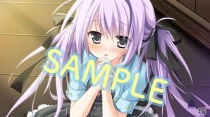PSP「1/2 summer+」水着、バニーさん、ネコ耳、裸エプロンなど“男の夢”を取り揃えた店舗特典イラストを一挙紹介！の画像11