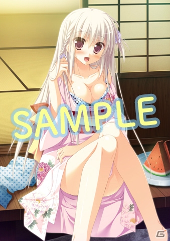 PSP「1/2 summer+」水着、バニーさん、ネコ耳、裸エプロンなど“男の夢”を取り揃えた店舗特典イラストを一挙紹介！の画像1