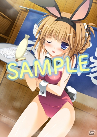 PSP「1/2 summer+」水着、バニーさん、ネコ耳、裸エプロンなど“男の夢”を取り揃えた店舗特典イラストを一挙紹介！の画像4