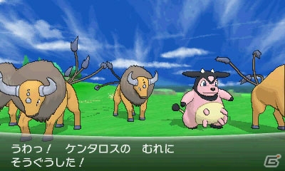 3DS「ポケットモンスター X・Y」は10月12日に世界同時発売！新タイプ「フェアリー」や新バトル「群れバトル」「スカイバトル」など新情報も到着の画像23