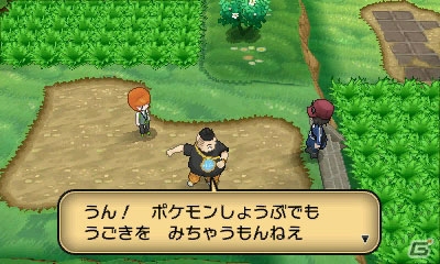 3DS「ポケットモンスター X・Y」主人公が旅の中で出会う友だちやジムリーダー＆新たなポケモンの進化の流れを紹介！の画像10