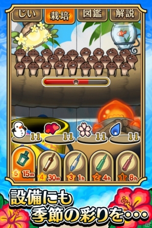 なめこはひと夏の夢を見る―iOS/Android「おさわり探偵 なめこ栽培キット Seasons：南国の夏」配信開始！の画像7