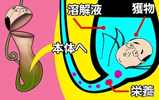 ポケットに中年おやじを忍ばせる優越感！iOS/Android「おやじ観察キット」が配信開始の画像32