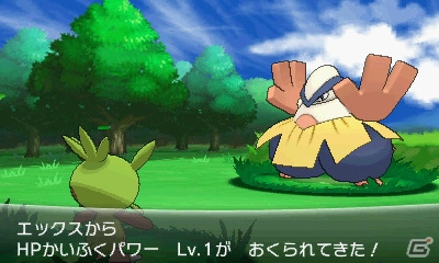 3DS「ポケットモンスター X・Y」ゼルネアスとイベルタルのタイプ・特性が明らかに！プレイヤー同士をつなぐ新機能“PSS”も紹介の画像61