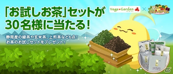 「ハッピーベジフル」ベジガーデン提供の「葉っピィ向島園のおためし茶箱」プレゼントキャンペーンを実施の画像1