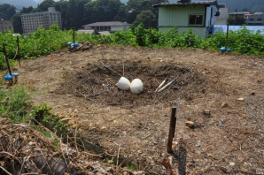 さまざまな効能のお湯を巡る「モンハン九頭巡り」や飛竜の巣も発見！ハンター釣り大会では超入れ食い！？「モンハン渋の里」プレスツアー2日目をレポートの画像32