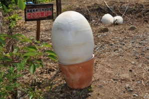 さまざまな効能のお湯を巡る「モンハン九頭巡り」や飛竜の巣も発見！ハンター釣り大会では超入れ食い！？「モンハン渋の里」プレスツアー2日目をレポートの画像35