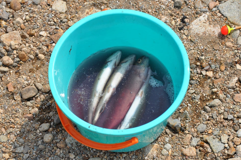 さまざまな効能のお湯を巡る「モンハン九頭巡り」や飛竜の巣も発見！ハンター釣り大会では超入れ食い！？「モンハン渋の里」プレスツアー2日目をレポートの画像110