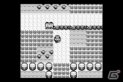 「ポケットモンスター X・Y」体験会のプレイレポートも！「ポケモン赤・緑」のアニメ化も発表されたポケモンゲームショーの模様をお届けの画像49