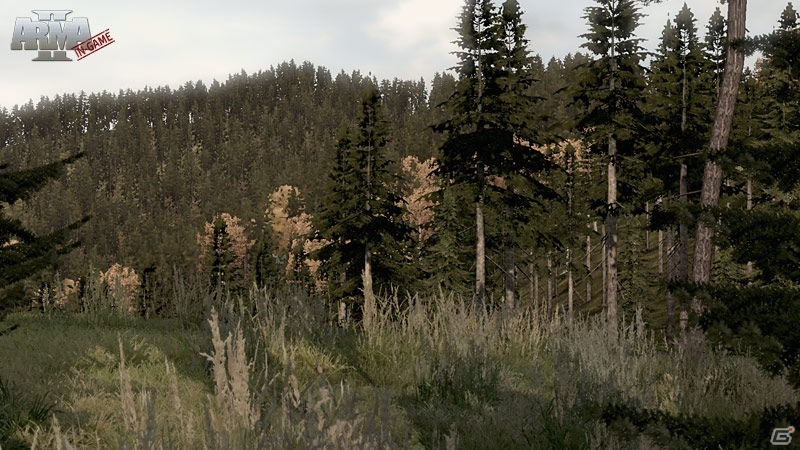 MOD「DAYZ」も楽しめるPC用現代ミリタリーFPS「ARMA 2: COMBINED OPERATIONS 日本語マニュアル付 英語版」9月20日に発売決定の画像5