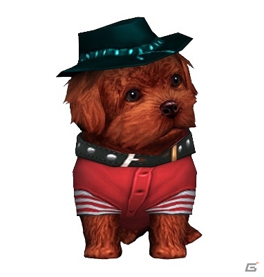 モフモフ＆ウルウルな仔犬たちとコミュニケーションをとって癒されよう！ブラウザゲーム「みんなのわんわん」Yahoo! mobageにてサービス開始の画像3