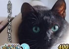 iOS/Android「クイズRPG 魔法使いと黒猫のウィズ」累計400万ダウンロードを突破！限定カード追加などを行う記念キャンペーン開催