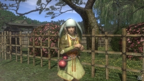 PS3/PS2/PC「信長の野望 Online」月の兎の悩みを解消してあげよう！ゲーム内イベント「観月祭 2013」9月11日より開催の画像5