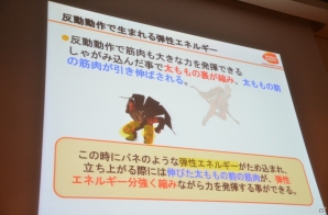 【CEDEC 2013】キャラクターのポージングには意外な秘密が？「身体の動きと原理から知る、闘うインゲームアニメーションの中身」のセッション内容をお届けの画像24