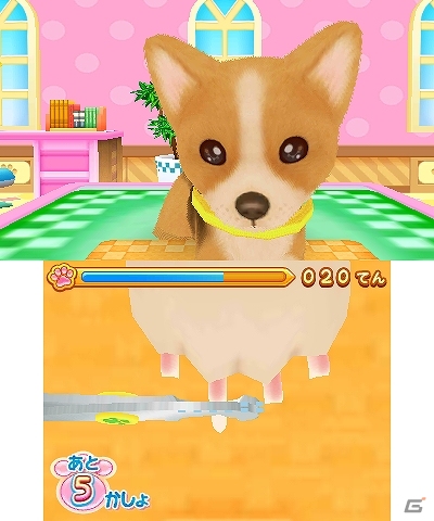 「あこがれガールズコレクション」シリーズの10作目となる3DS「わんニャンペットショップ」が2013年11月28日に発売！ゲーム内容も紹介の画像18