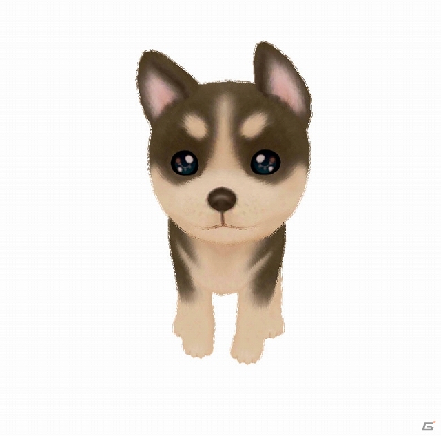 「あこがれガールズコレクション」シリーズの10作目となる3DS「わんニャンペットショップ」が2013年11月28日に発売！ゲーム内容も紹介の画像56