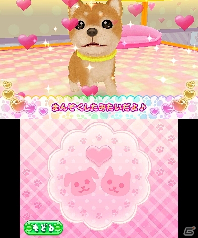 「あこがれガールズコレクション」シリーズの10作目となる3DS「わんニャンペットショップ」が2013年11月28日に発売！ゲーム内容も紹介の画像6