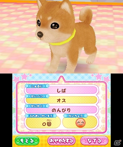 「あこがれガールズコレクション」シリーズの10作目となる3DS「わんニャンペットショップ」が2013年11月28日に発売！ゲーム内容も紹介の画像93