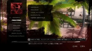 入門編としてもシンプルな対戦ゲームとしても最適―PS3「DEAD OR ALIVE 5 Ultimate」基本無料版でできることを徹底紹介！の画像6