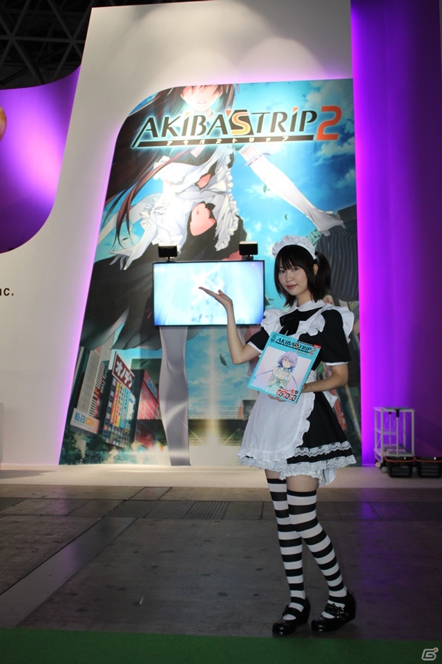 【TGS 2013】あの大人気ゲームアプリのコンシューマ版3DS「パズドラZ」を出展！「ガンホー・オンライン・エンターテイメント」ブースレポートの画像7