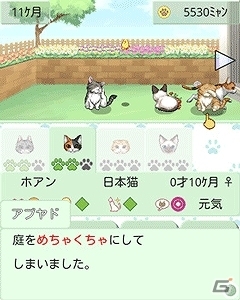 日々成長していく猫の姿が愛らしい育成ゲーム「ウチの猫 GREE」iOS向けに配信スタートの画像4