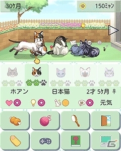日々成長していく猫の姿が愛らしい育成ゲーム「ウチの猫 GREE」iOS向けに配信スタートの画像5