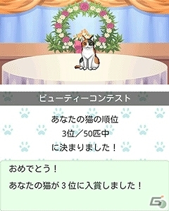 日々成長していく猫の姿が愛らしい育成ゲーム「ウチの猫 GREE」iOS向けに配信スタートの画像6