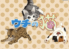 日々成長していく猫の姿が愛らしい育成ゲーム「ウチの猫 GREE」iOS向けに配信スタート