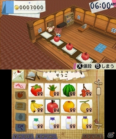 「牧場物語」シリーズを手掛けた和田康宏氏がプロデュースする3DS「ホームタウンストーリー」が12月12日に発売！の画像5