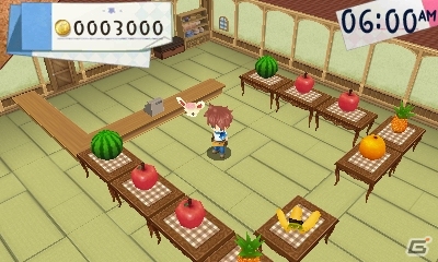 「牧場物語」シリーズを手掛けた和田康宏氏がプロデュースする3DS「ホームタウンストーリー」が12月12日に発売！の画像7