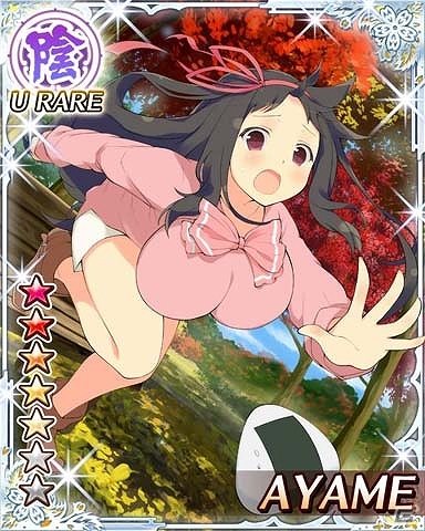 GREE/Mobage「閃乱カグラ NewWave」アウトドアな秋の山を楽しもう！大規模イベント「あの山この山おむすびコロリン秋の穴場スポット大訓練！」が開催の画像5