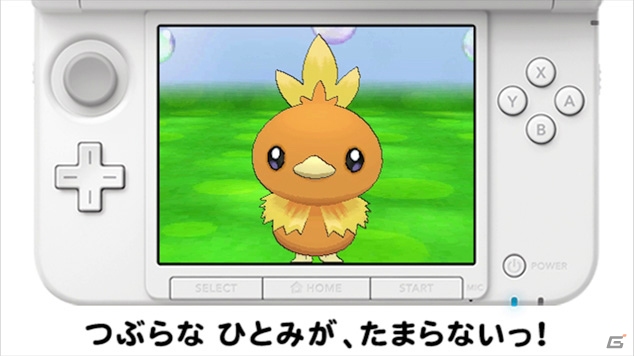 3DS「ポケットモンスター X・Y」カエンジシ、ガチゴラスなど新たに判明したポケモンを紹介！ポケモンだいすきクラブでは「今日のポケモン」がオープンの画像29