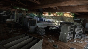 PS3「The Last of Us」ダウンロードコンテンツとして4つの「廃墟となった町」を収録したマップパックが配信スタートの画像5
