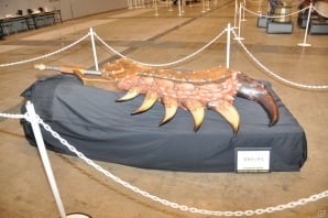集まったハンターは約1万2千人超！ゴア・マガラやイサナ船もド迫力のモンハンミュージアム、キッチンからは肉を焼く匂いも…「モンスターハンターフェスタ‘13」各コーナーレポートの画像40