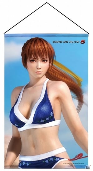 DEAD OR ALIVE 5」人気キャラクター「かすみ」「あやね」「ヒトミ」「こころ」「レイファン」の存在感抜群なB2タペストリーが11月末に発売  | Gamer