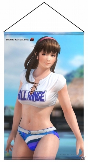 DEAD OR ALIVE 5」人気キャラクター「かすみ」「あやね」「ヒトミ」「こころ」「レイファン」の存在感抜群なB2タペストリーが11月末に発売  | Gamer