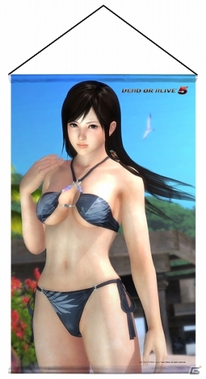 DEAD OR ALIVE 5」人気キャラクター「かすみ」「あやね」「ヒトミ」「こころ」「レイファン」の存在感抜群なB2タペストリーが11月末に発売  | Gamer