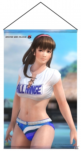 DEAD OR ALIVE 5 ヒトミ & レイファン タペストリー Amazon.co.jp: DEAD OR ALIVE 5 B2タペストリー かすみ : おもちゃ