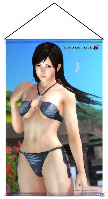 「DEAD OR ALIVE 5」人気キャラクター「かすみ」「あやね」「ヒトミ」「こころ」「レイファン」の存在感抜群なB2タペストリーが11月末に発売の画像4