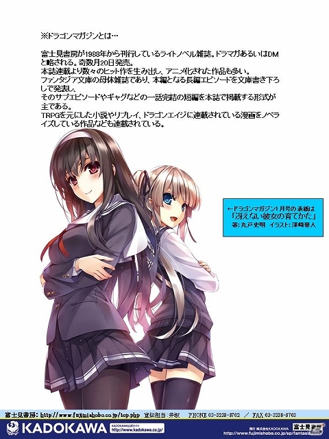 「艦隊これくしょん -艦これ-」ドラゴンマガジンにて内田弘樹氏によるノベライズ連載が決定―主人公の空母「瑞鶴」をはじめ多数の人気艦娘が登場の画像2