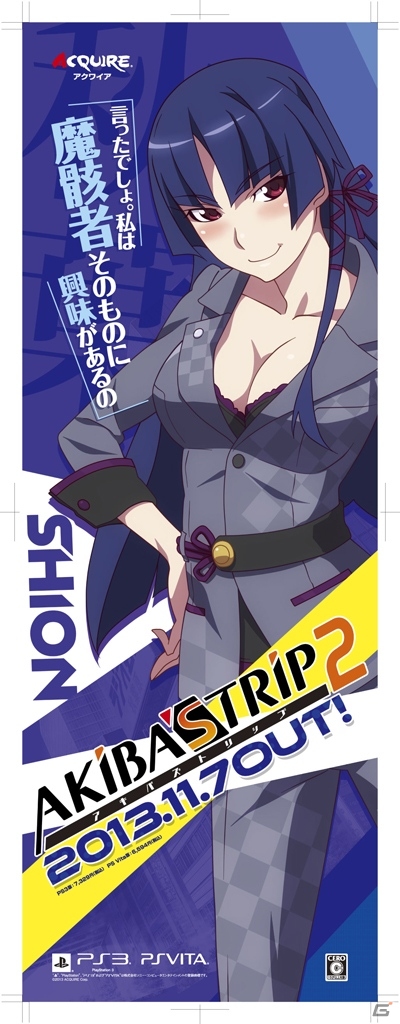 PS3/PS Vita「アキバズトリップ2」サイン色紙やオリジナルグッズが当たる発売日イベントが秋葉原ソフマップアミューズメント館にて実施の画像5
