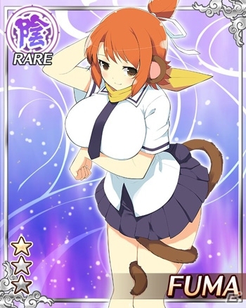 GREE/Mobage「閃乱カグラ NewWave」限定けも耳爆乳少女カードが登場する大規模イベントが開催の画像5