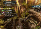 PS3「アルノサージュ ～生まれいずる星へ祈る詩～」制作陣が選ぶこだわりの一枚を紹介していく新企画「アルノ＝コネコション撮ってだし」がスタート