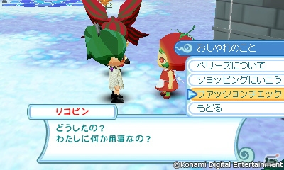 アイテムパスワードも付属してお得になった3DS「とんがりボウシと魔法の町 スペシャルパック」が本日発売！の画像5