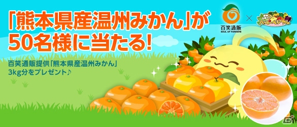 「ハッピーベジフル」にて百笑通販提供の「熊本県産温州みかん」プレゼントキャンペーンがスタートの画像1