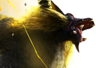 「モンスターハンターフェスタ’13」決勝大会は品川インターシティホールで2014年1月26日開催！決勝大会用のチャレンジクエストも配信開始